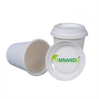 Disposable Bagasse Cup47