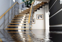 Pros Flood Damage Restoration Sydney