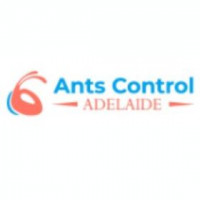 Flea Control Adelaide
