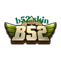 b52skin
