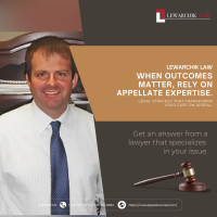 appellate criminal lawyer