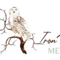 Iron Owl