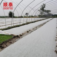 Frost-proof Agricultural Non-woven Fabric61