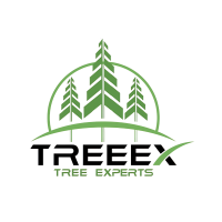 TreeEx Inc