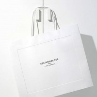 Recyclable Paper Gift Bag81