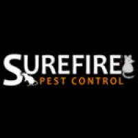 SureFire Wasp Control Melbourne