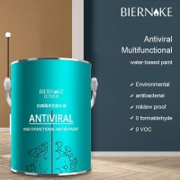 Anti Fungicidal Water Based Paint17
