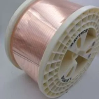 Raytron International Co Ltd
