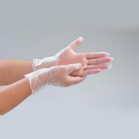 Clear Pre-powdered Vinyl Gloves74