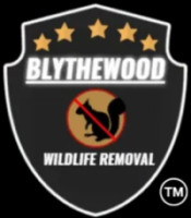 Blythewood Wildlife Removal and Pest Control