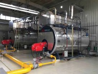 WNS High Efficiency Fuel Fire Tube Condensing Gas Steam Boiler16