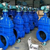 High Performance gate valve9