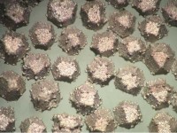 Coated Saw Grit Synthetic Diamonds13