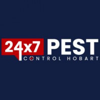 Wasp Removal Hobart