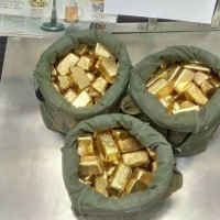 Gold Investment. Partners needed