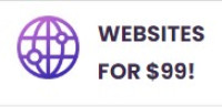 $99 budget website