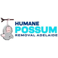 Humane Possum Removal Prospect