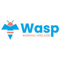 Wasp Removal Nairn