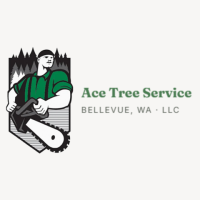 Ace Tree Service
