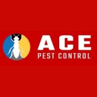 Pest Control Canberra