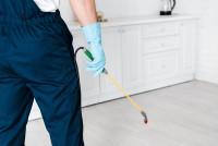 247 Pest Control Brisbane