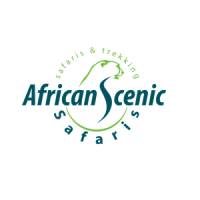 Best Time to Visit Tanzania