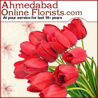 Order Friendship Day Gifts Online at Low Cost & Get Same Day Delivery to Ahmedabad.