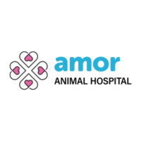 Amor Animal Hospital