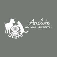 Anclote Animal Hospital