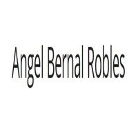Angel Bernal Robles