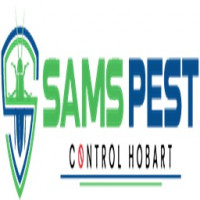 Flea Control Hobart
