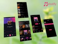 Spotify Business Model