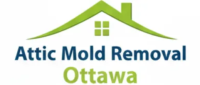 Attic Mold Removal Ottawa