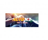 Auto MD Tint and Detail