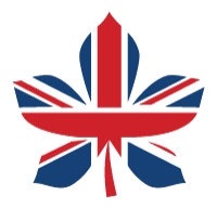 British Dissertation Help
