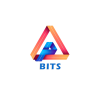 BestInfoTechSolution