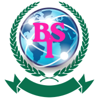 BigSmmIT Is The Best Quality Verified Accounts Service Provider