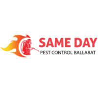 Same Day Pest Control Ballarat