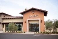 Opulent Day Spa