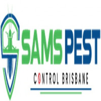 Silverfish Treatment Brisbane