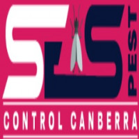 Bee Exterminator Canberra