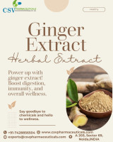 Bulk Purchase of Ginger Extract for Your Business Needs