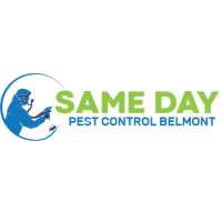 Same Day Pest Control Belmont