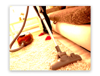 Carpet Cleaning Dover Gardens
