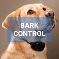 BarXStop Reviews: Most Effective and Safe Training Device on the Market