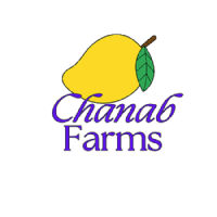 Best Pakistani Mangoes Online