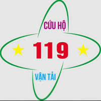 Cứu hộ 119
