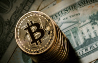 Bitcoin Miners UAE — Crypto Mining Equipment, Hosting & Services in Dubai