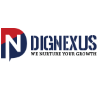 Dignexus- You Perfect Website Partner
