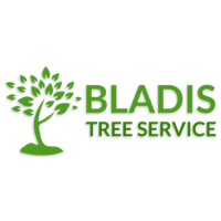 Bladi's Tree Service